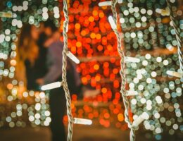 bokeh photography of string lights